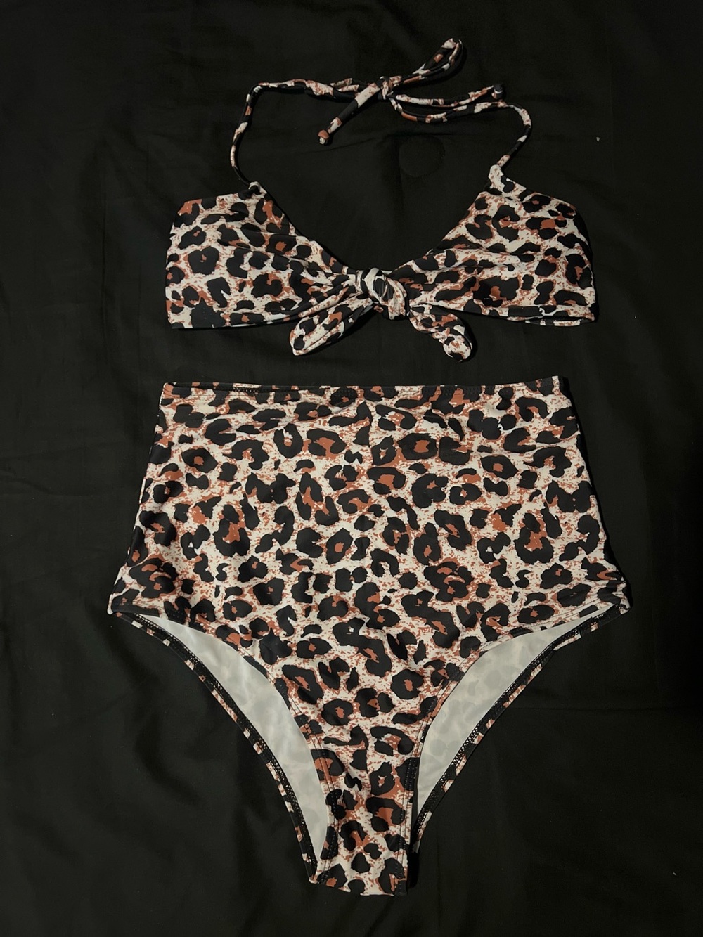 Leopard Print High-Waist Bikini - Brown & Black
